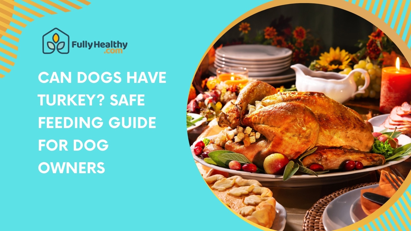 Can Dogs Have Turkey? Safe Feeding Guide for Dog Owners