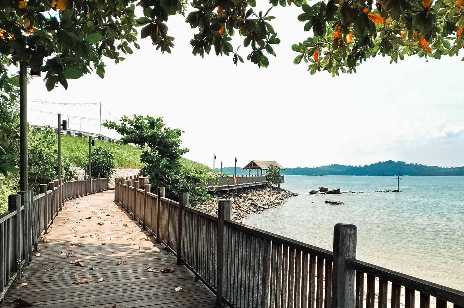 Wooden boardwalk along Changi Beach surrounded by greenery and seaside views.