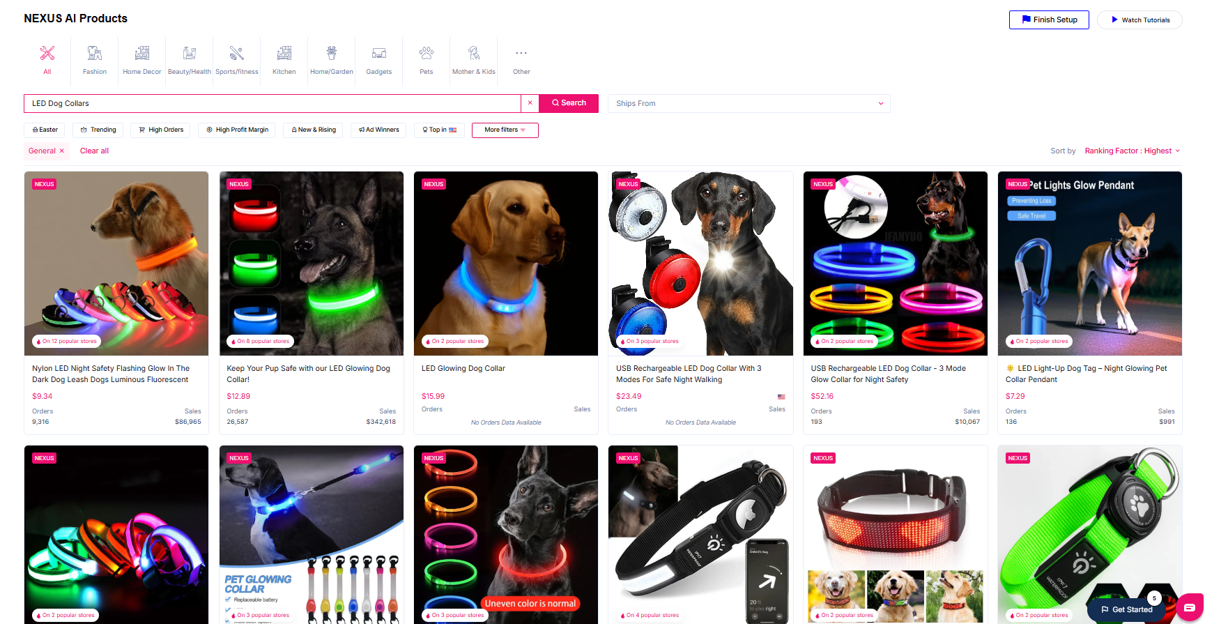 Die perfekte Zielgruppe finden, um Ihr Dropshipping-Spiel mit Hundehalsbändern aufzuwerten