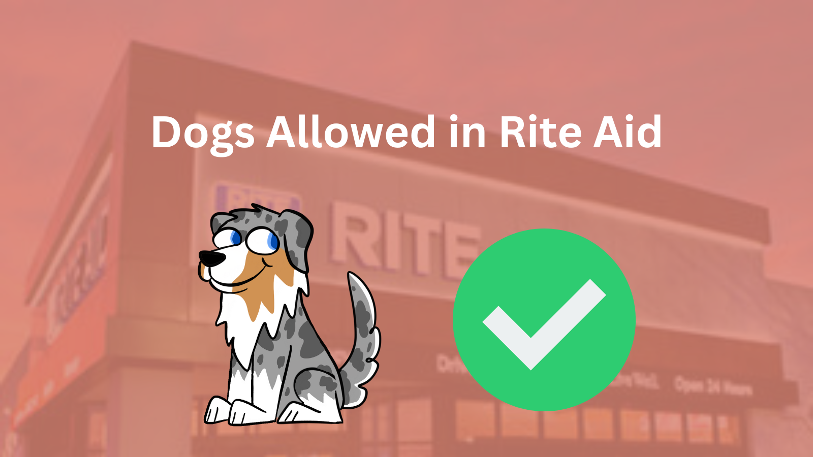 Image Text: "Dogs Allowed in Rite Aid"