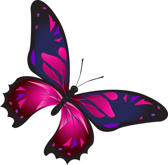 draw cute things butterfly, colorful, pink