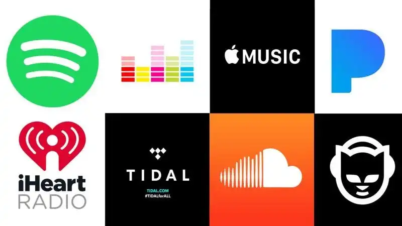 Digital Music Platforms