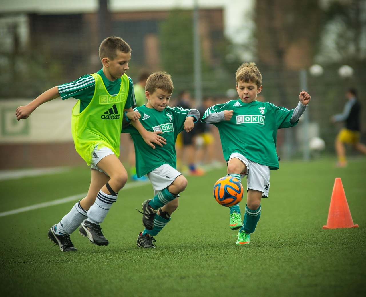 Improving skill transfer 