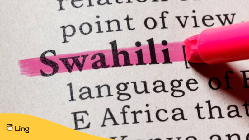 Dictionary definition of the word Swahili.