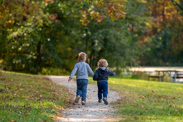 boys, children, path, trail, park, brothers, trees, leaves, autumn, fall, kids, nature, fun, childhood, friends, grass, playing, run, running, friendship day, friendship, children, children, children, friendship, friendship, friendship, friendship, friendship