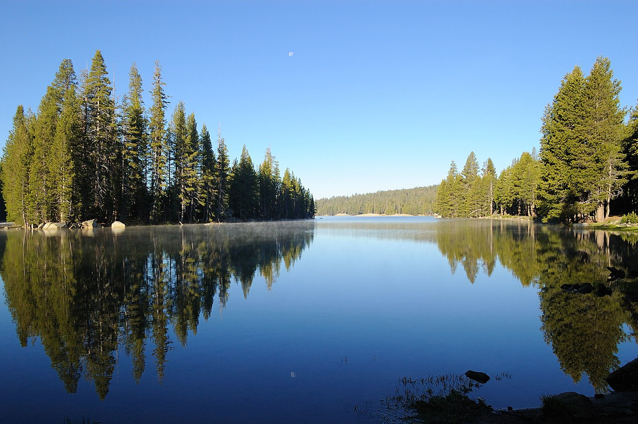 blue lake, pine trees