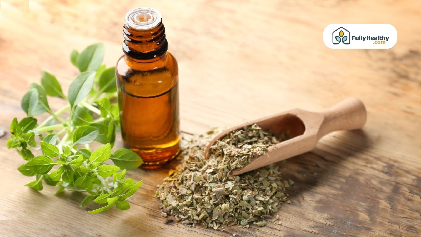 Mexican oregano leaves with a small bottle of oregano oil and a wooden scoop of dried herbs