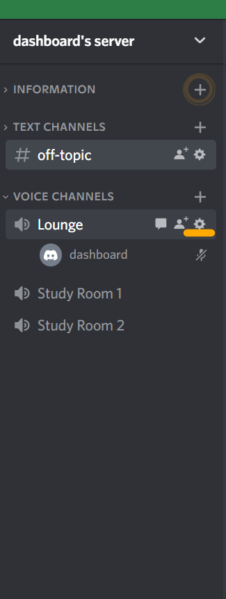Setting option in Voice Channels