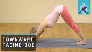 Downward Facing Dog pose / Adho Mukha Svanasana Yoga - YouTube