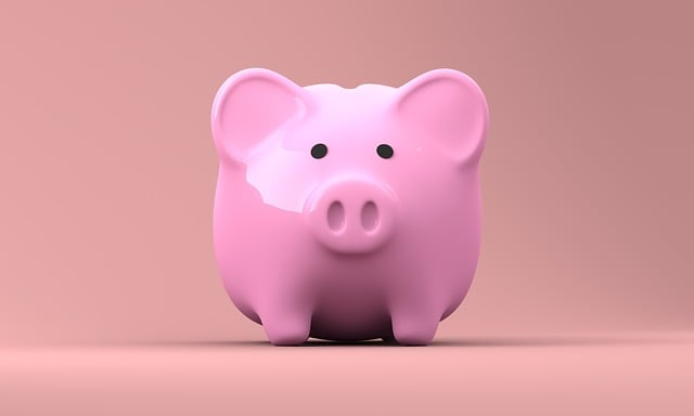 Pink piggy bank with saved money from cash flow statements