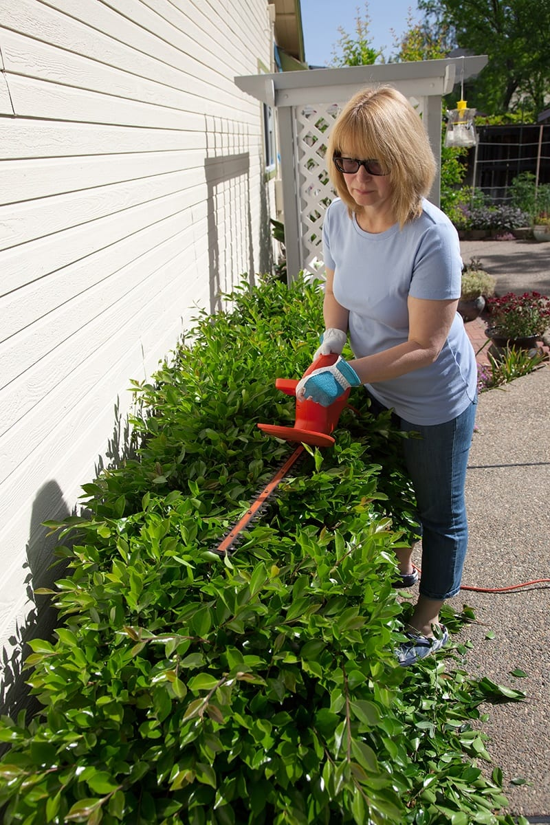 An image of a person trimming away bushes to prevent ants from entering the home. 