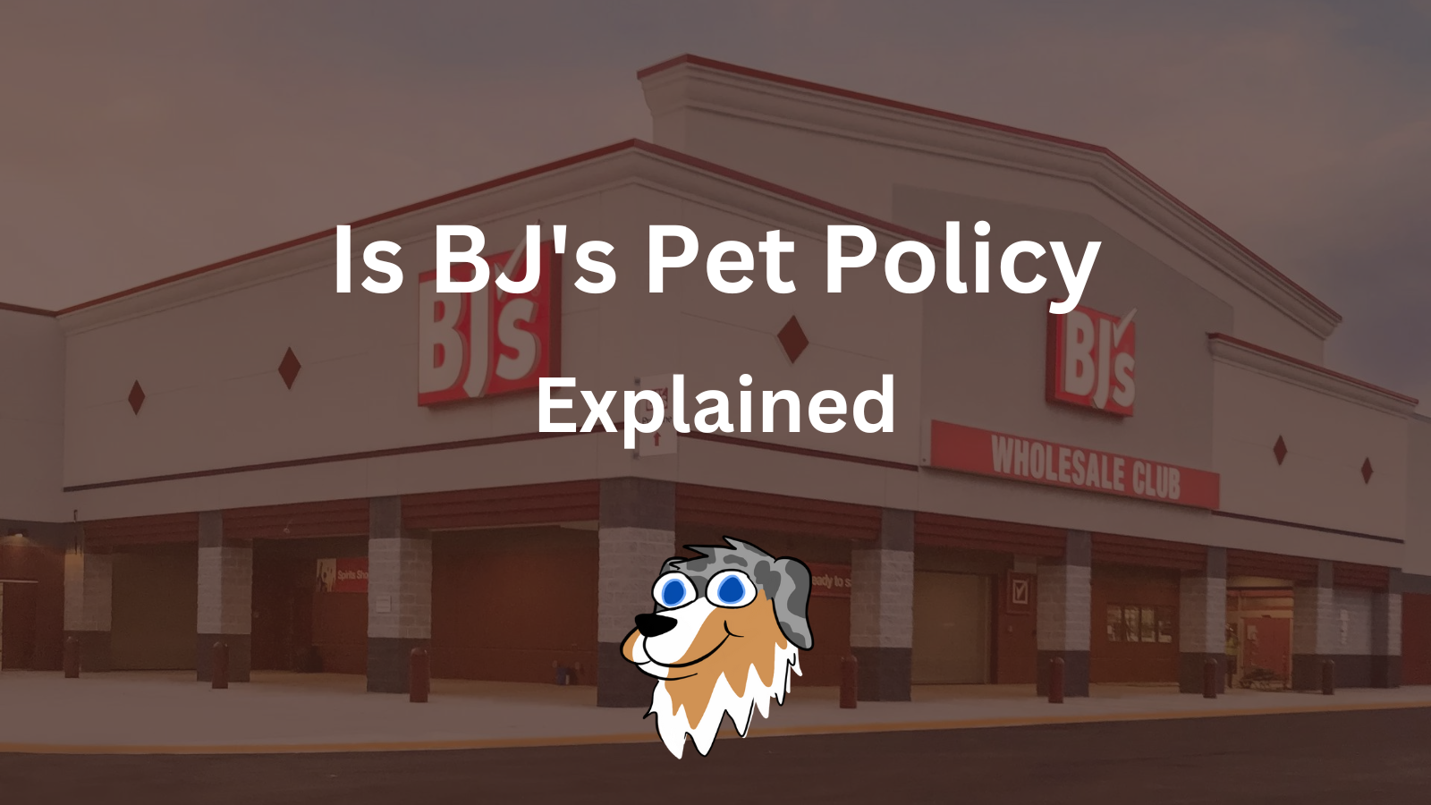 Image Text: "BJ's Pet Policy Explained"