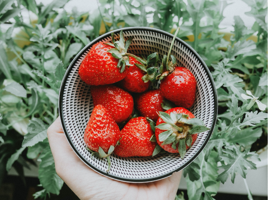 Harvested strawberries in a bowl from the balcony