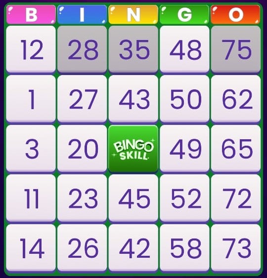 Bingo Card Setup