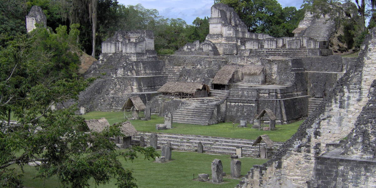 interesting animals in guatemala