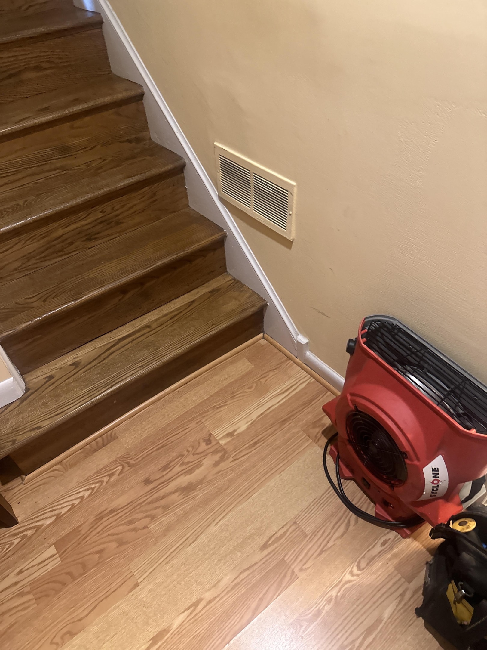 Mold removal Baltimore 