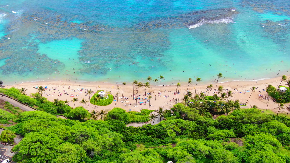 People snorkeling in the crystal clear waters of Hanauma Bay Nature Preserve