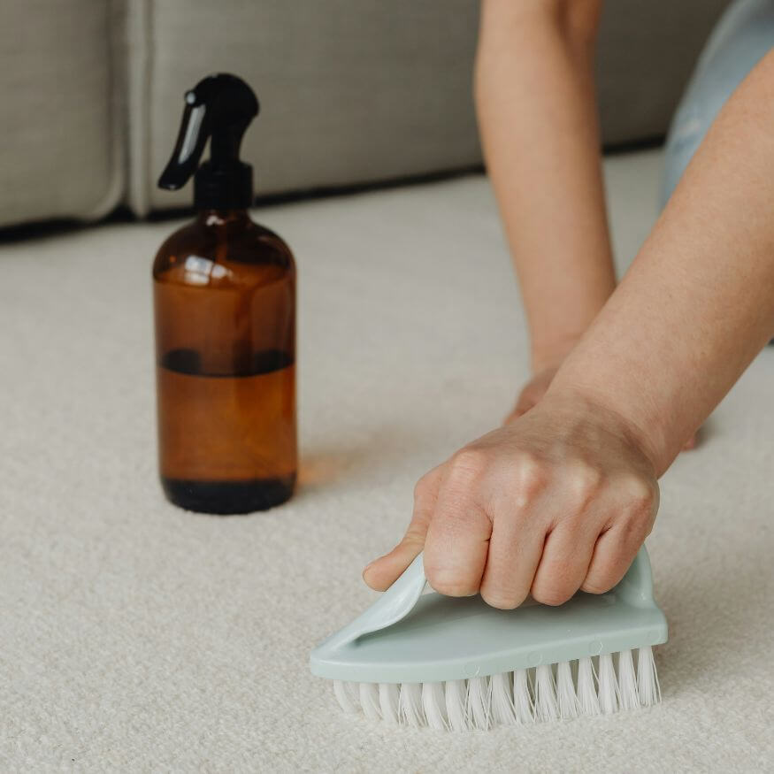 A person using a steam cleaner to deep clean a carpet