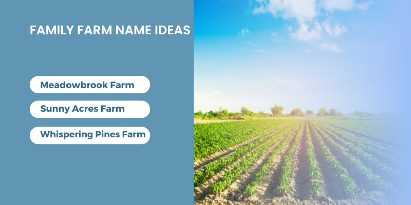 Family Farm Name Ideas