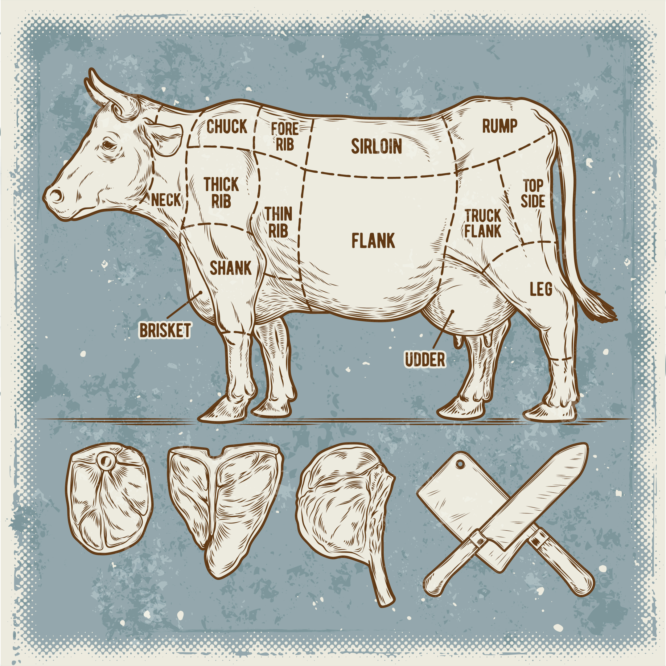 Beef topside comes from the hindquarters of the animal - the cow's thigh region.