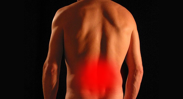 back, pain, spine