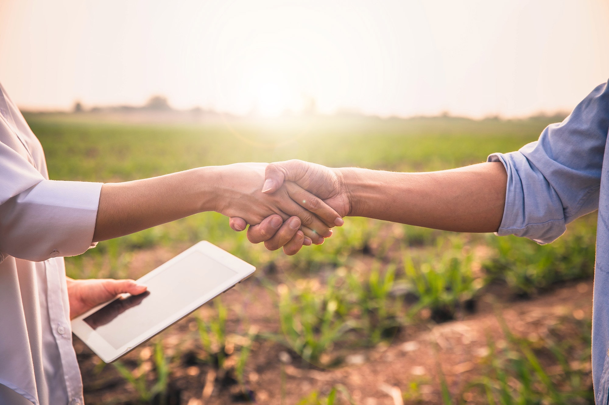 Two individuals shake hands in a field, symbolizing a successful agreement made possible by Land Loans in Australia.
