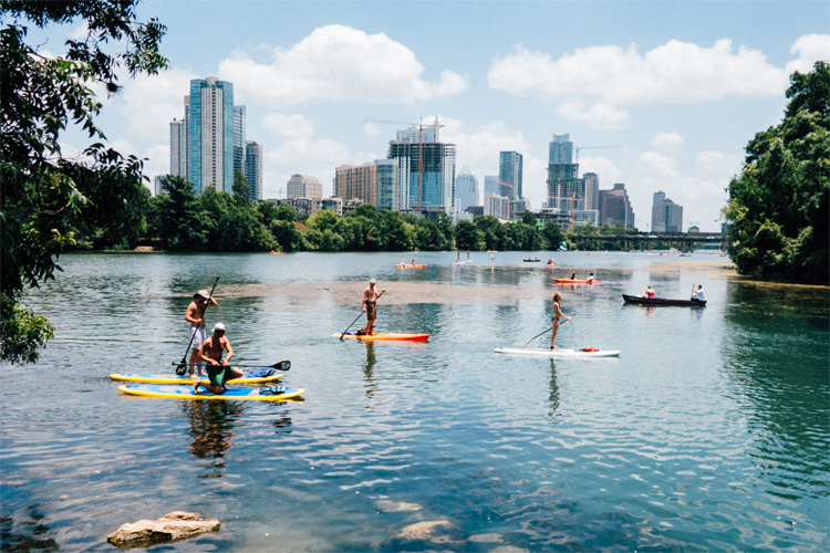 stand up paddle boards on lady bird lake