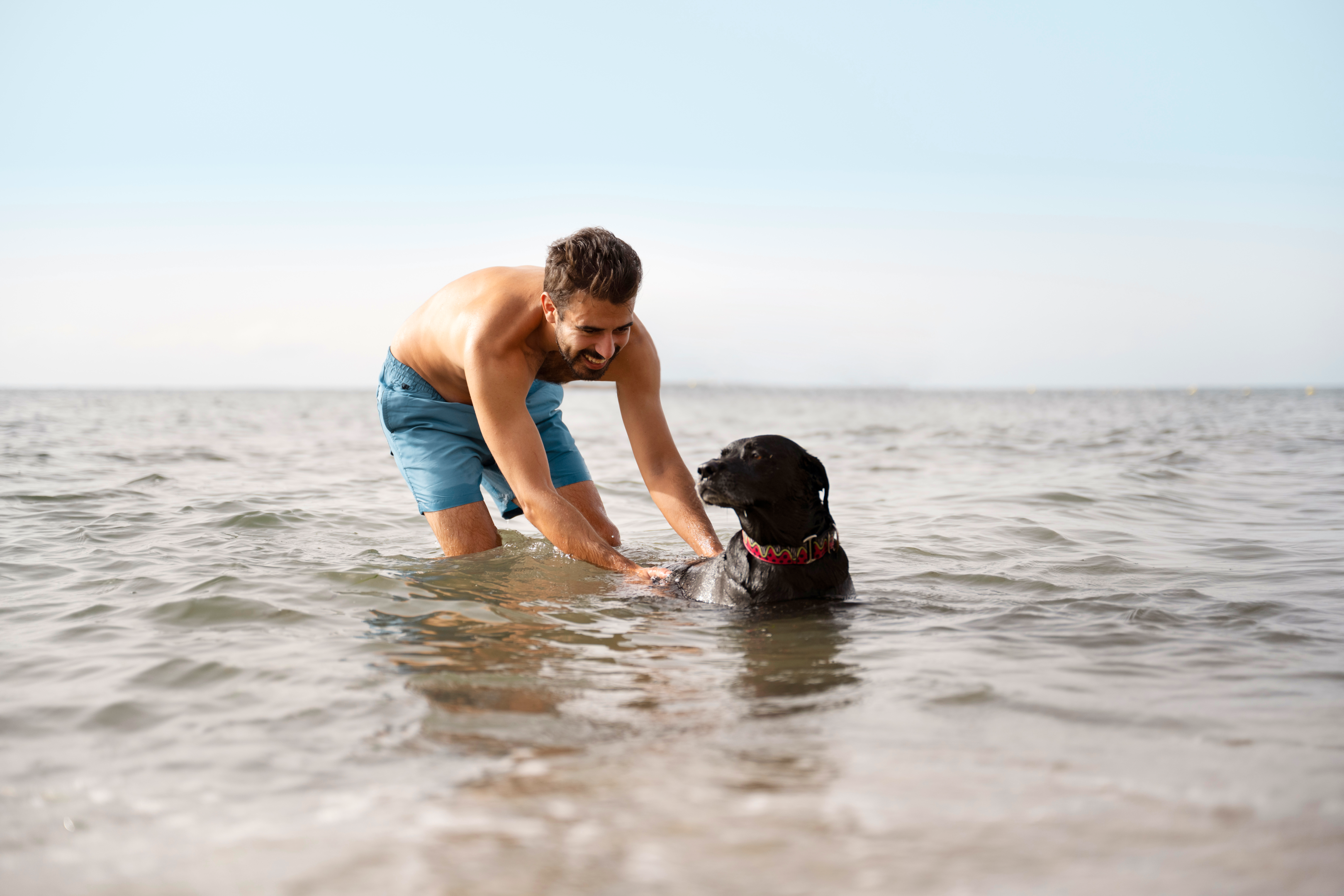 dog swimming, dog swimming lessons, dog's courage, dog