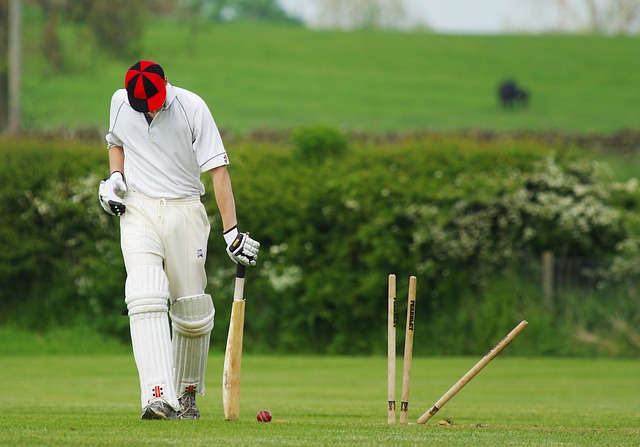 cricket, stumps, ball