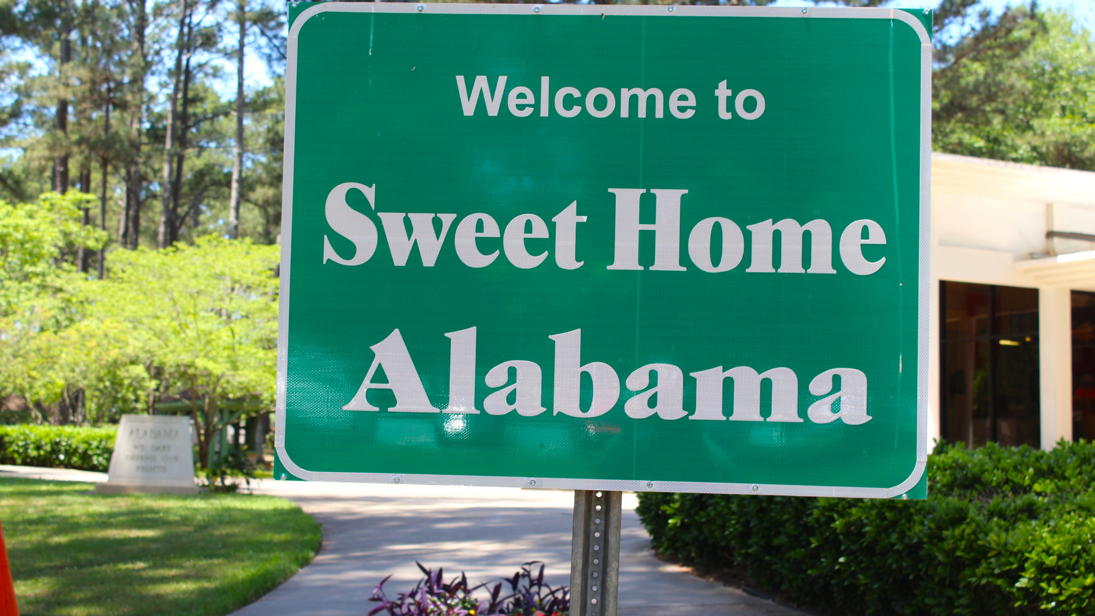 Where to buy Delta 8 in Alabama