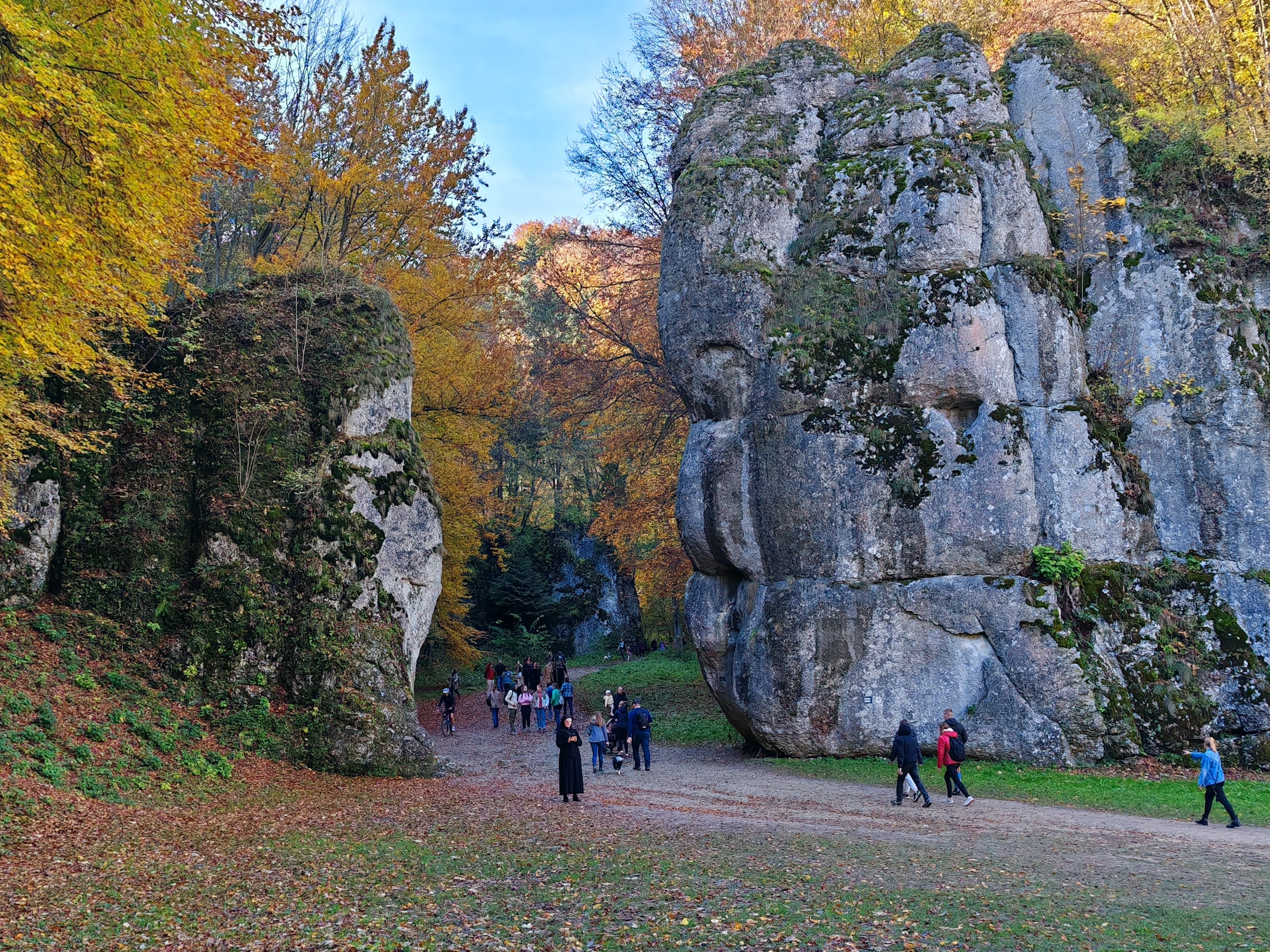 Ojcowski Park Narodowy (źródło: https://commons.wikimedia.org/wiki/File:20231029_120837_Ojcowski_Park_Narodowy_07.jpg)