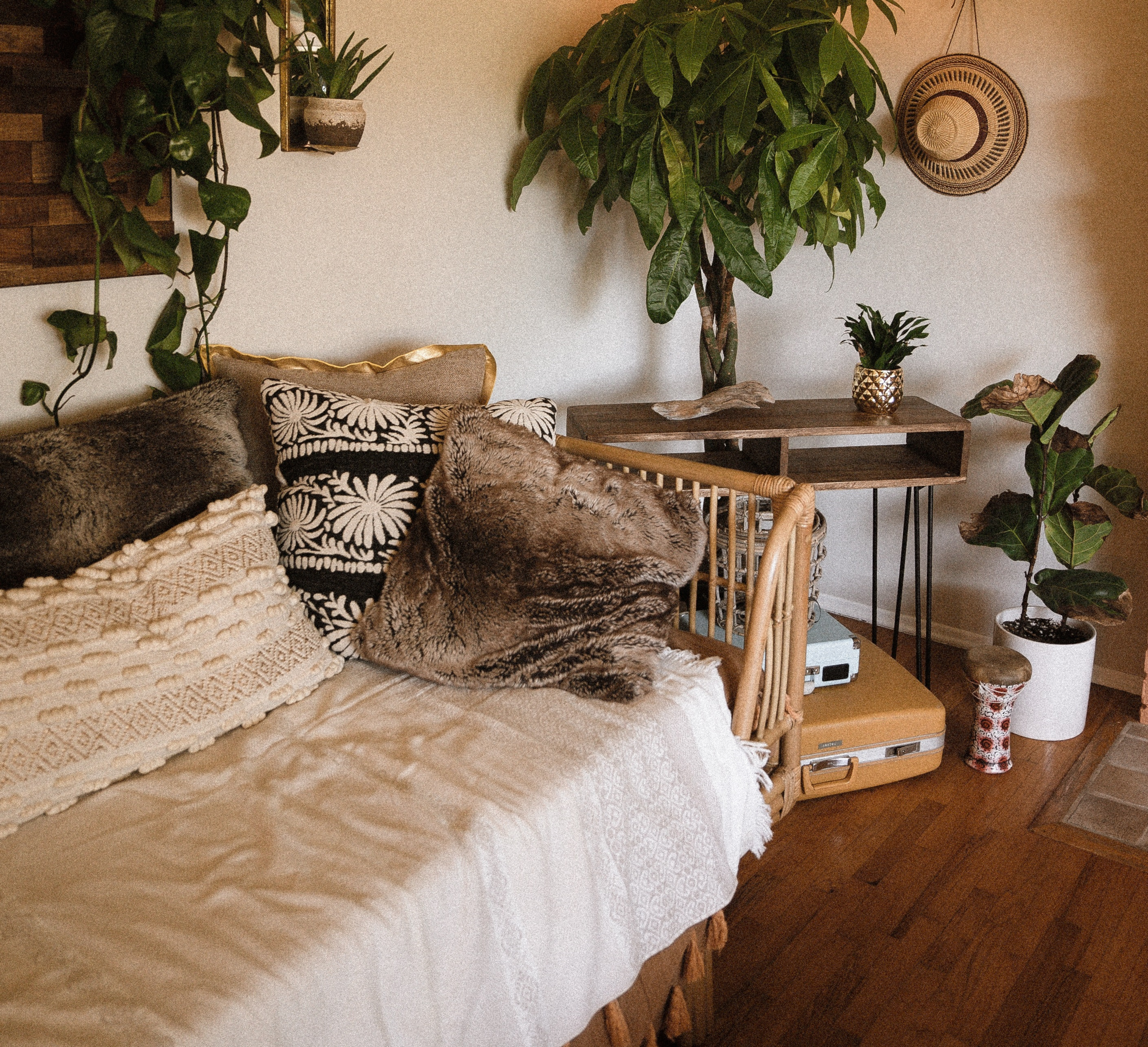 daybed and plants in boho vibe room
