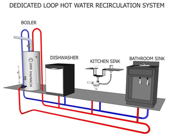 dedicated loop hot water recirculation system