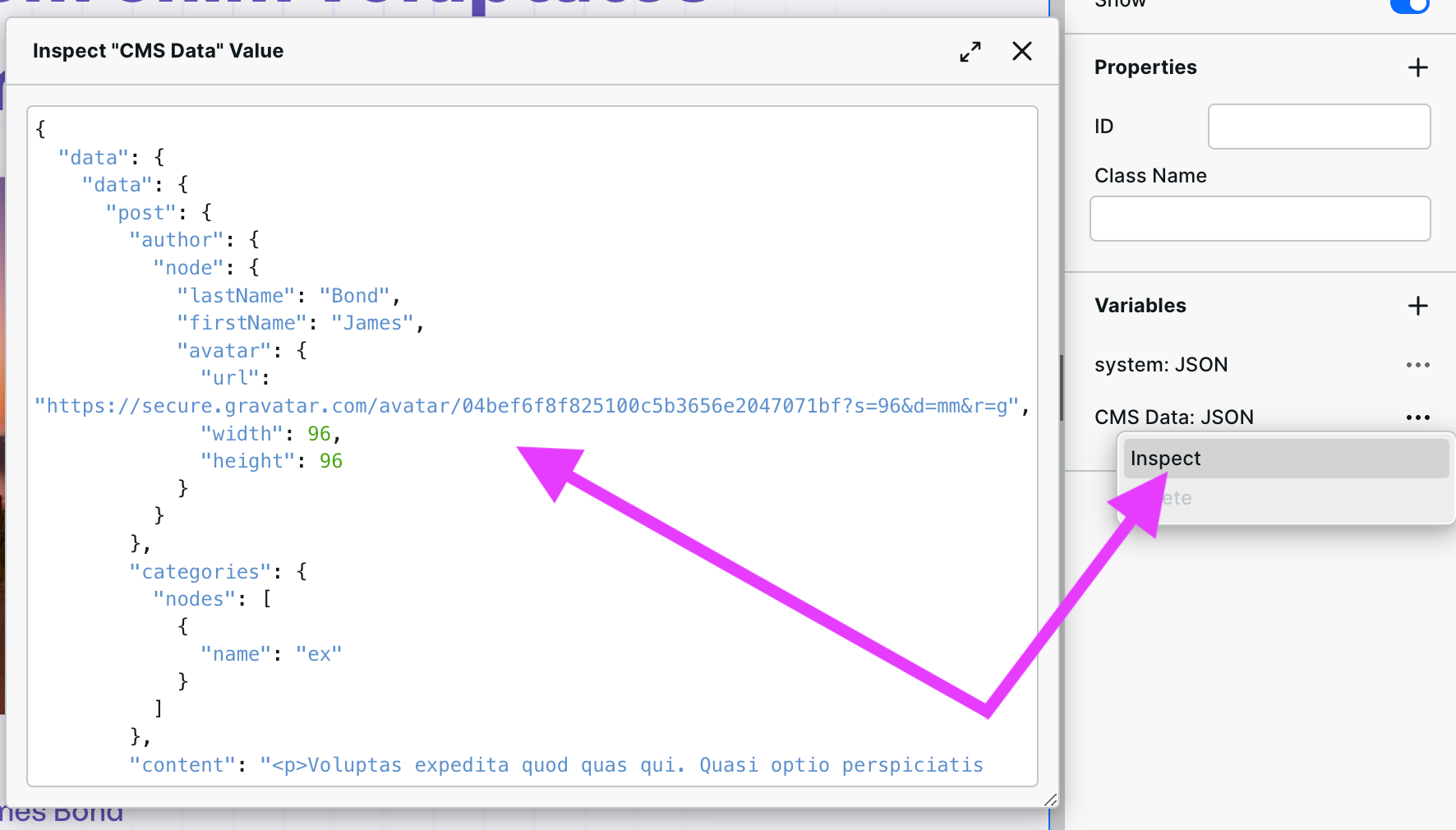 Response from headless WordPress