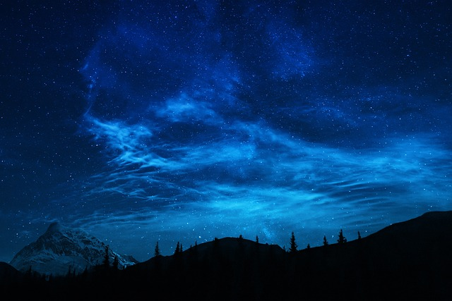 forest, stars, mountains