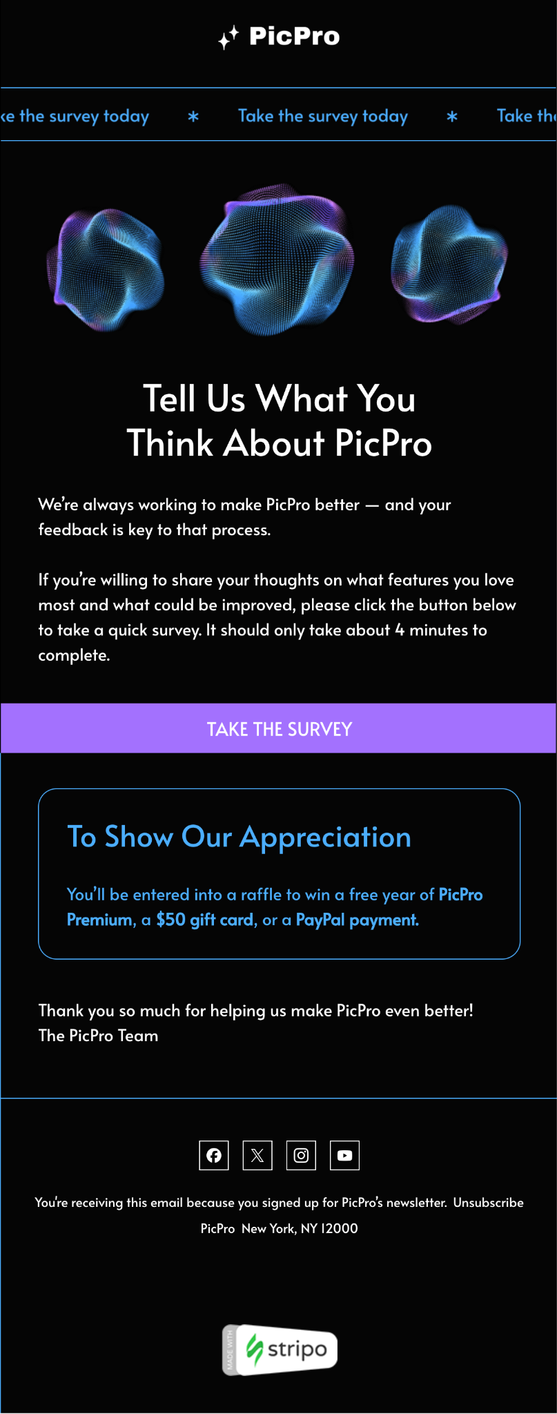 Feedback Request or Survey Email Template