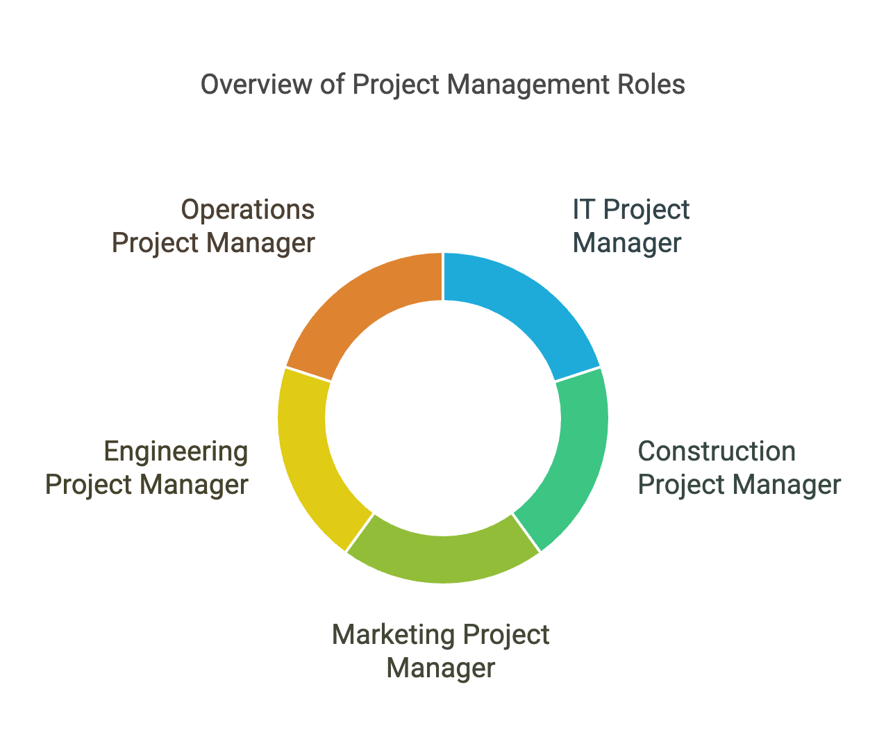 Different types of project managers