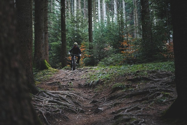 A person cycling through a serene forest, showcasing how it boosts mental health.