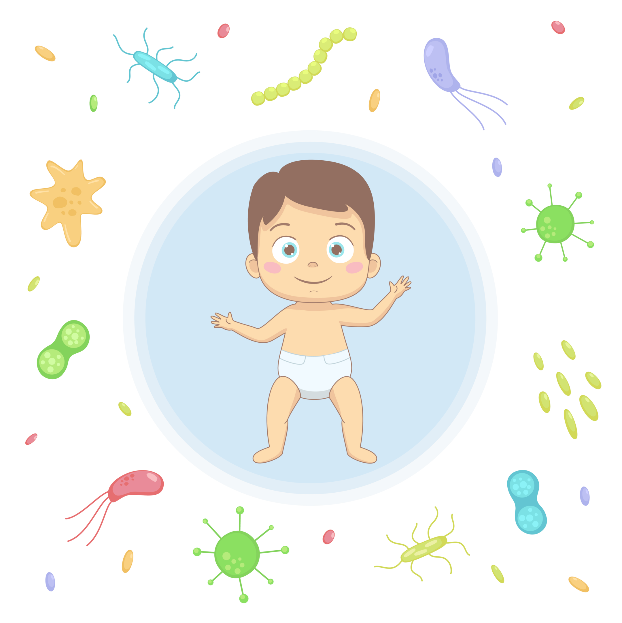 By the first birthday, the first line of defence against germs has adequately developed.