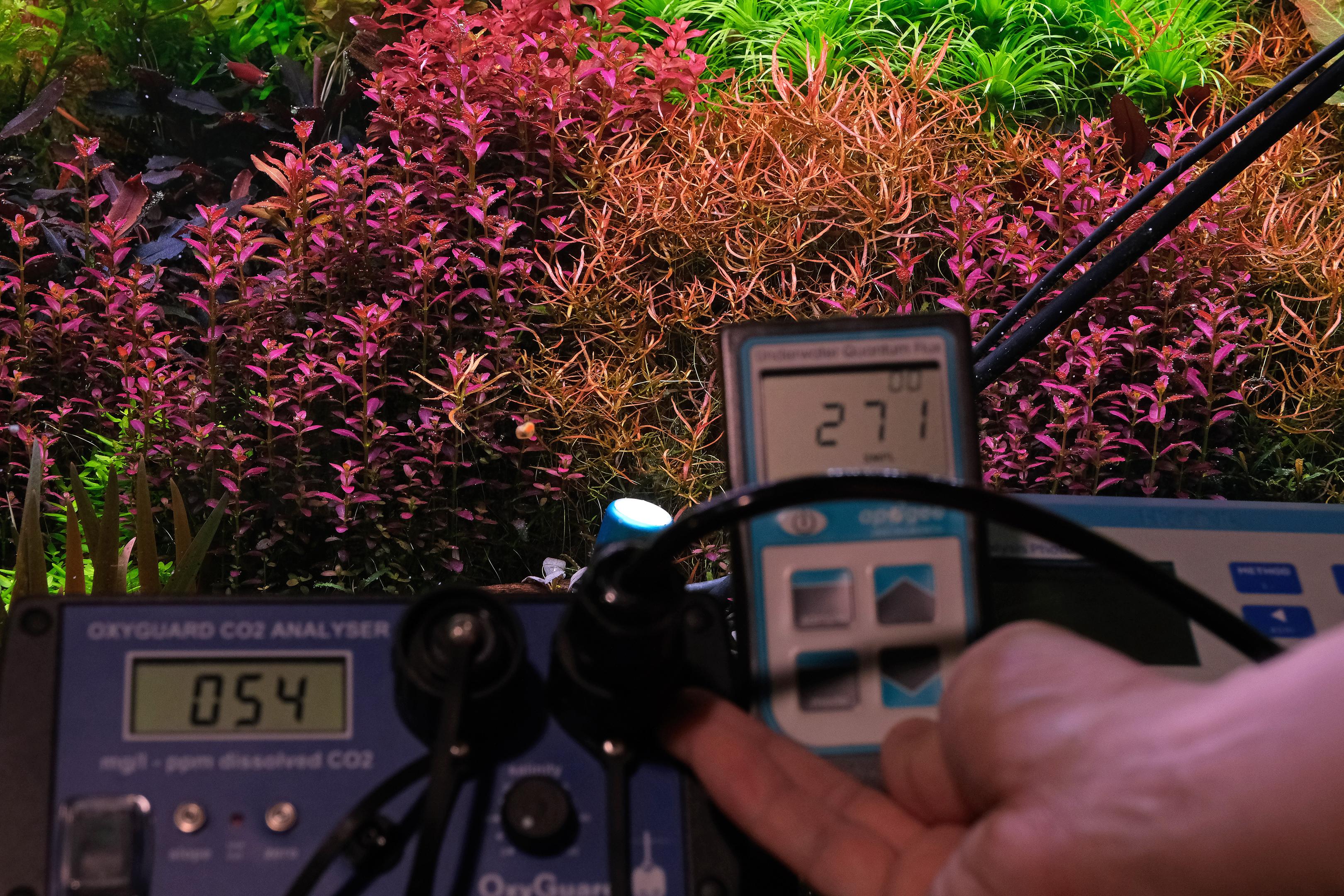Hand holding a PAR meter and probe, measuring light strength in a colorful aquarium
