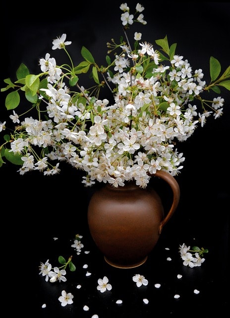 vase, still life, bouquet