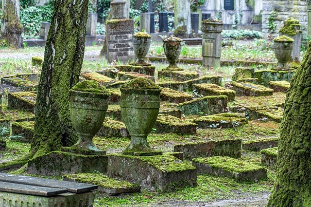 graves, graveyard, overgrown, tombstones, burial ground, cemetery