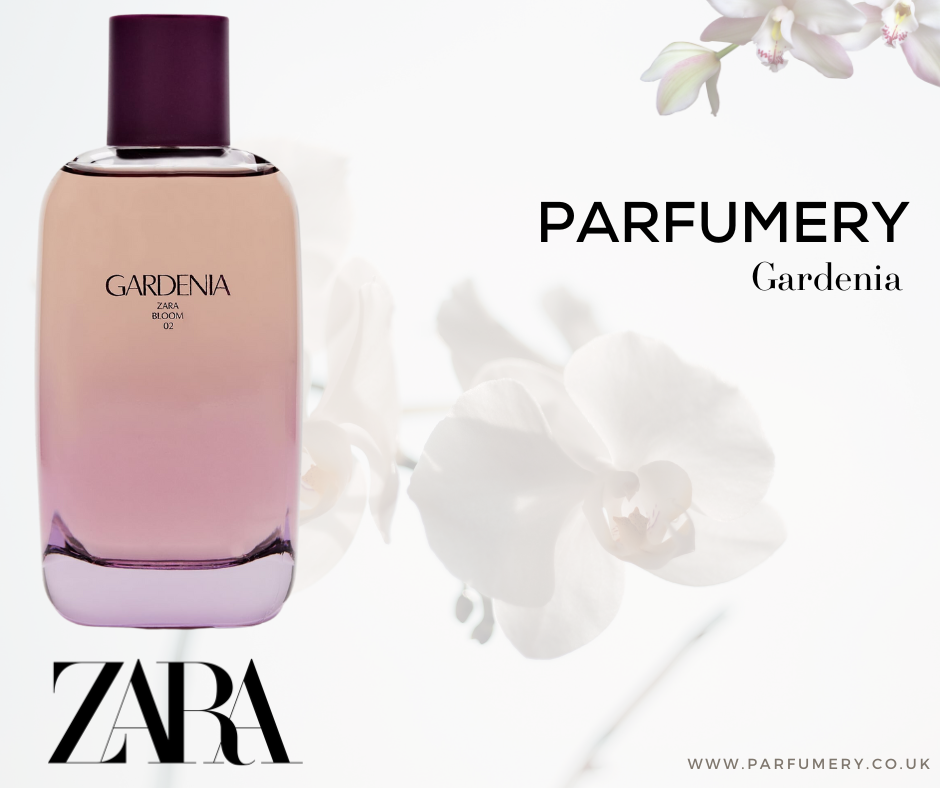 Zara Gardenia - YSL Dupe