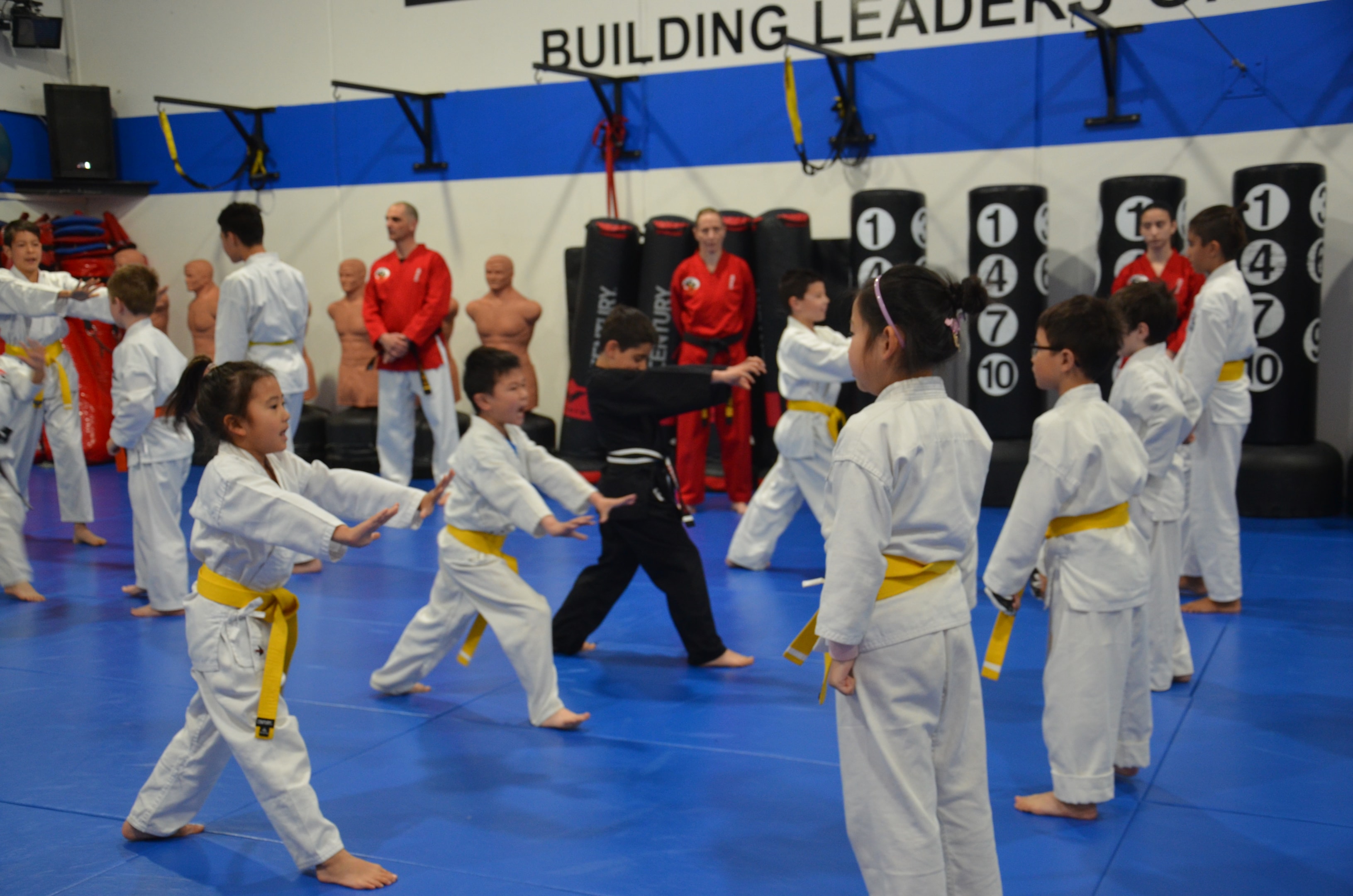 learn advanced techniques in jiu jitsu with a personal trainer