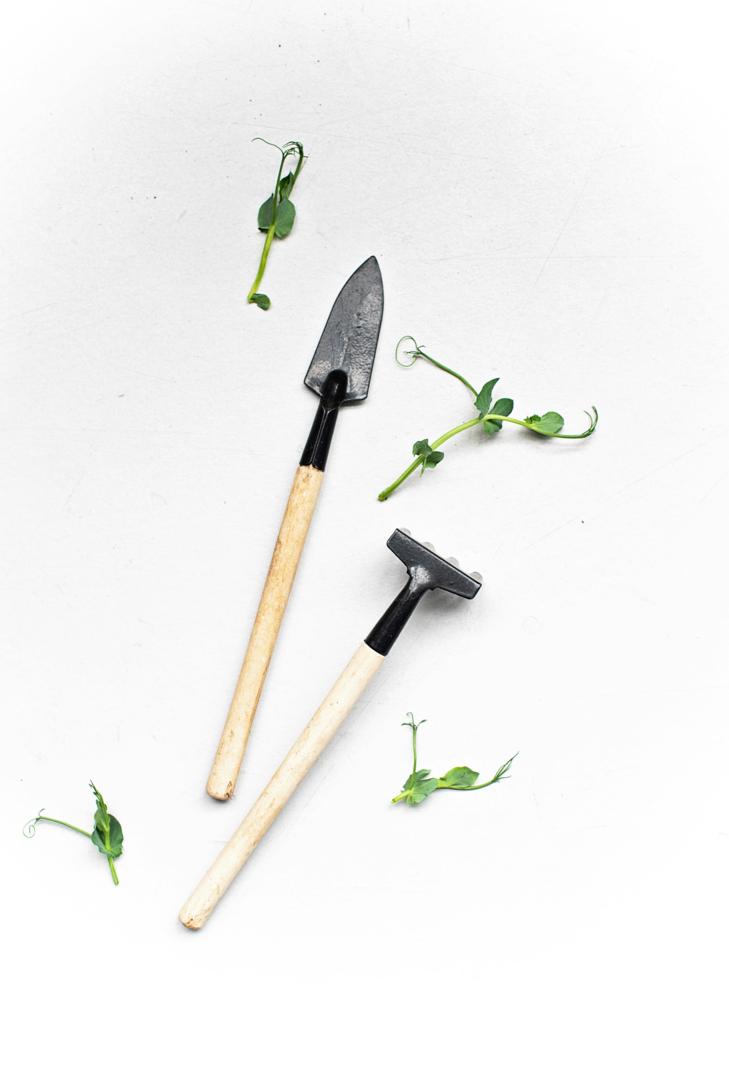 Digging tools such as spades and trowels for soil preparation.