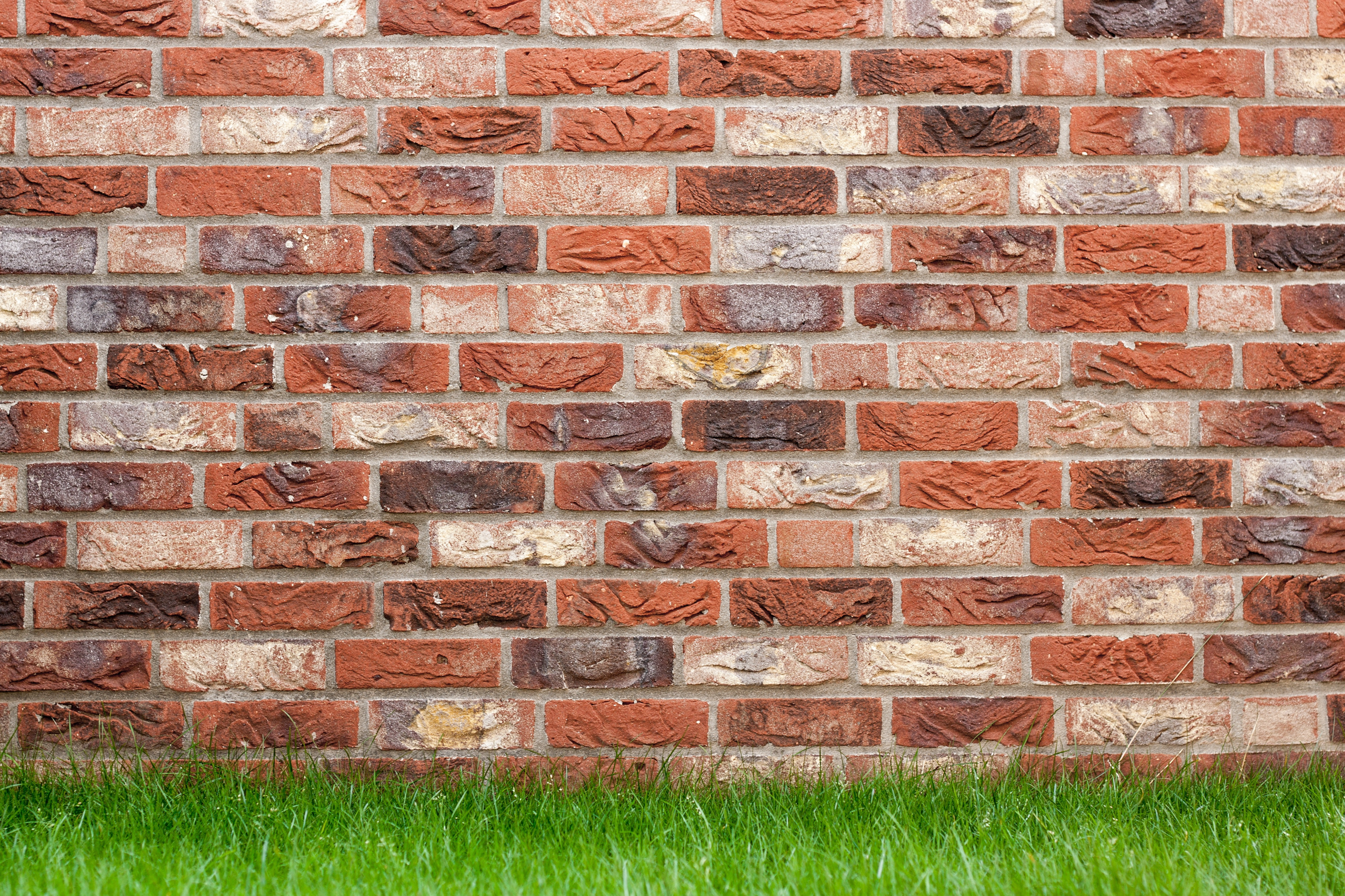 red brick wall and grass