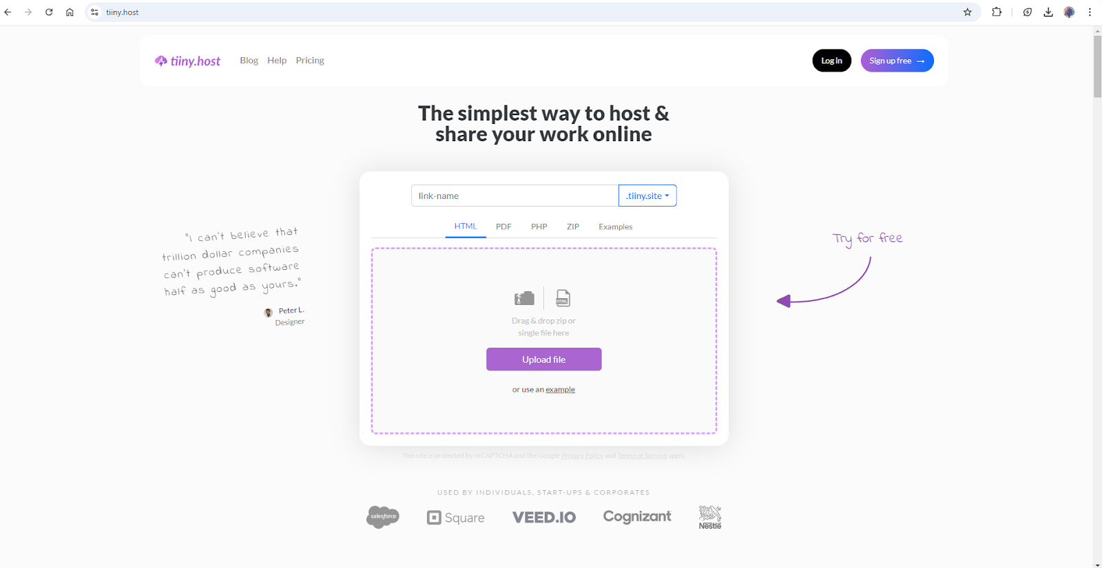 Screenshot of a webpage for Tiiny Host, a web project hosting service. The page includes input fields for a link name and file upload options.