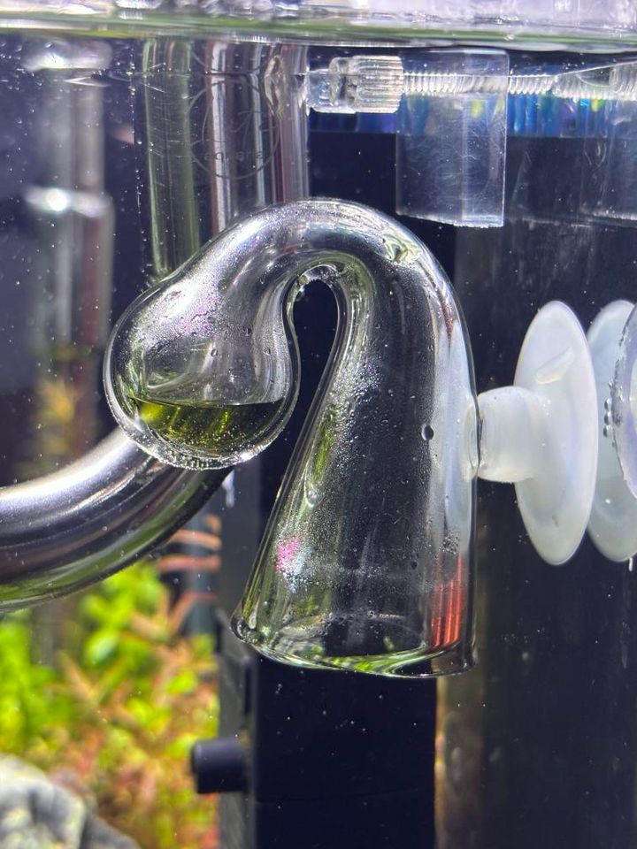Drop checker allows to monitor CO2 levels