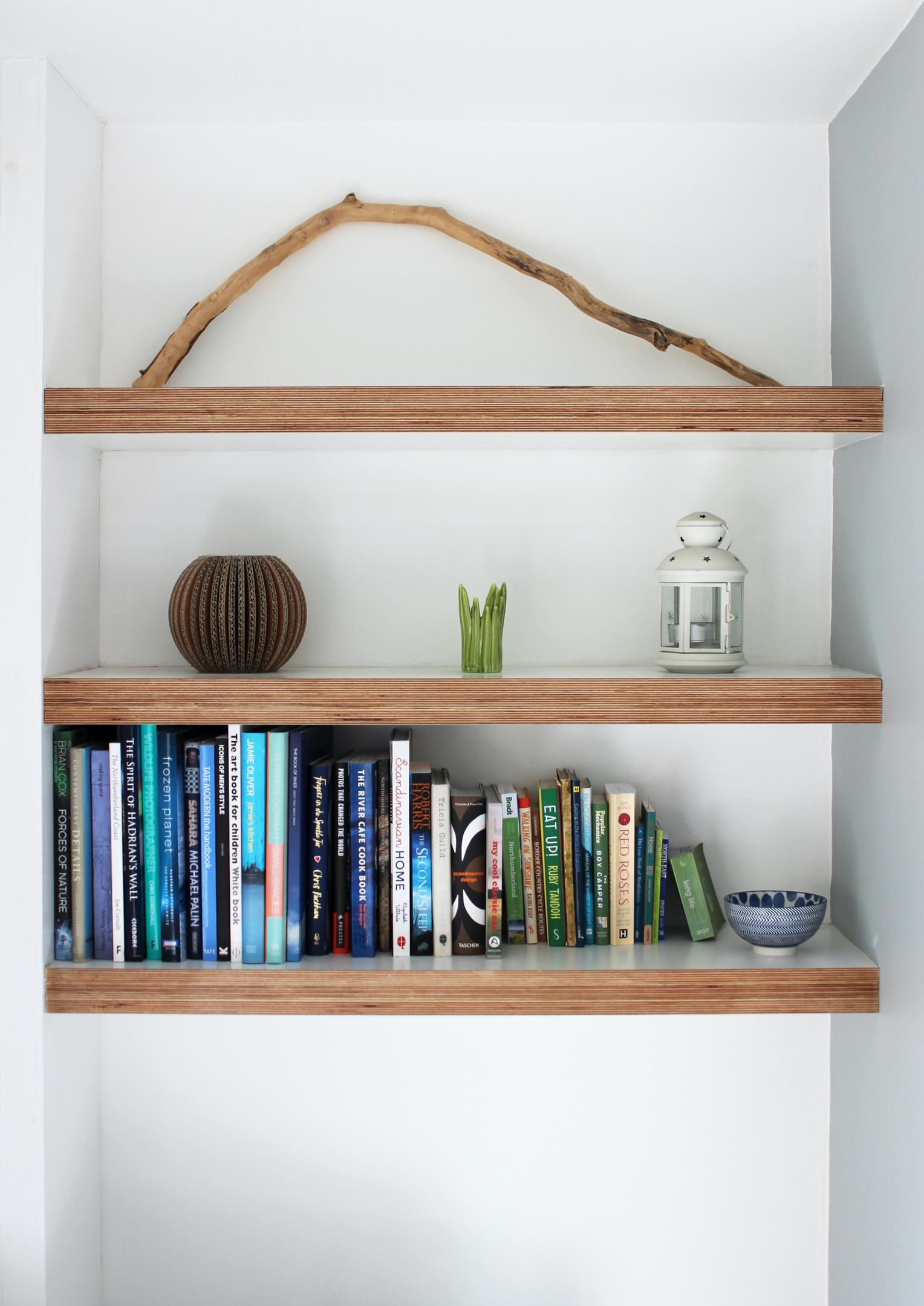 Wood shelves with colorful books and wood branch