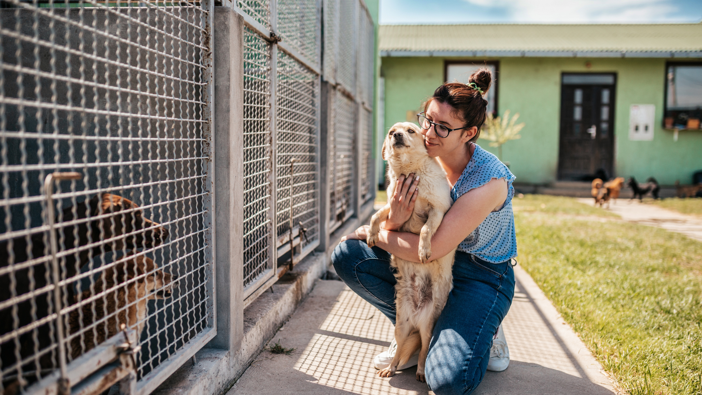 9df4e848 cd30 4ccb 8490 d08714508bd3 Surrendering a Dog: The Best Methods for Giving up Your Canine Companion